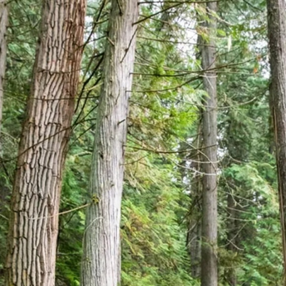 Meet your Posher, M - Picture 1 of 1